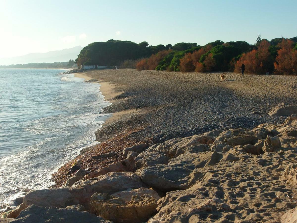 Cozzy Flat In A Quiet And Nice Area / Acogedor Apartamento En Zona Tranquila Y Agradable Cambrils Buitenkant foto